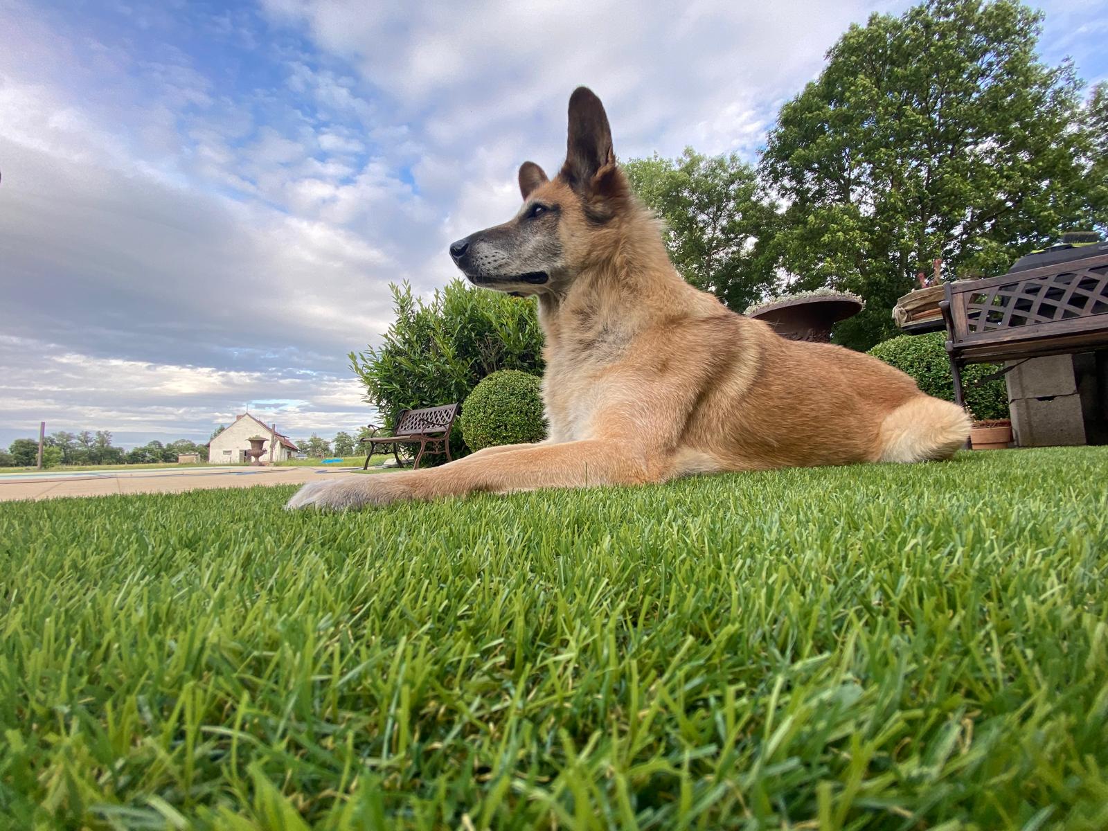 WhatsApp Image 2025-06-24 at 20.49.23